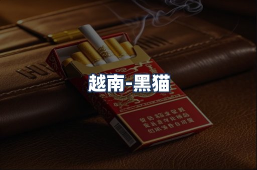 越南黑猫