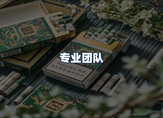 专业团队